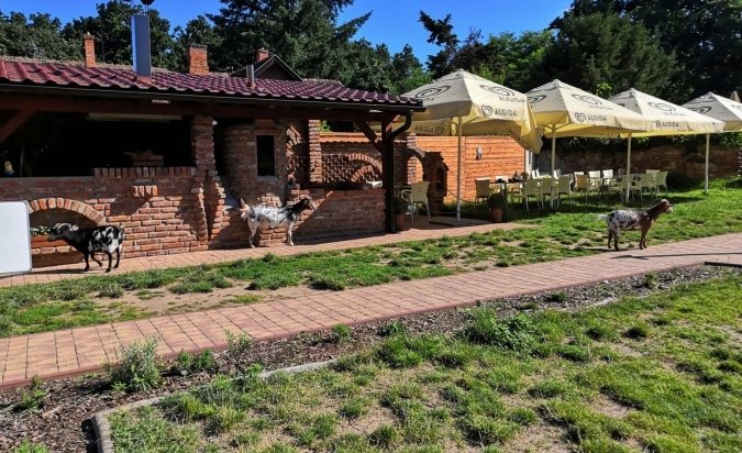 Výlet předškoláků - Berušky a Broučci 